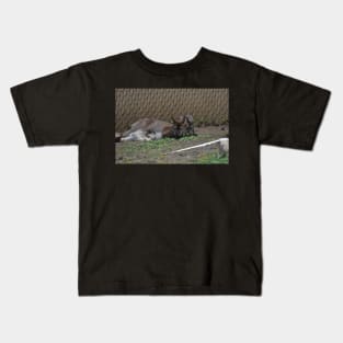 Wallaby and Joey Kids T-Shirt